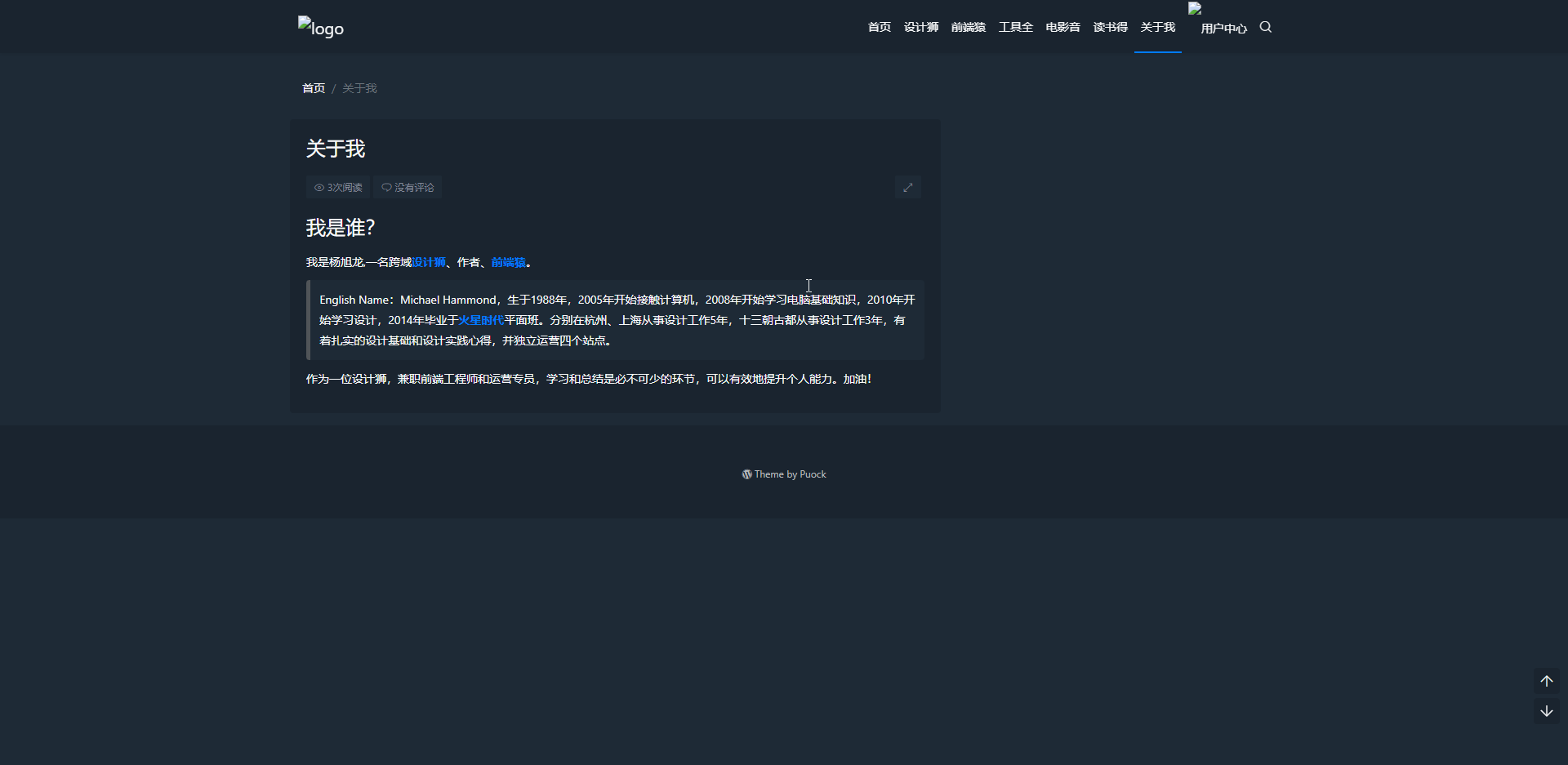 Puock主题效果展示